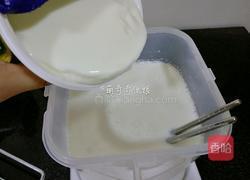 老酸奶的做法图解7