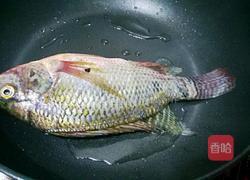 啤酒鱼的做法图解4