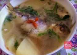 鲫鱼雪梨汤的做法图解12