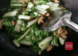 小白菜炒香菇的做法图解6