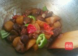 土豆炖鸡胗的做法图解5