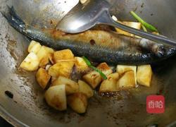 沙丁鱼炖土豆的做法图解9