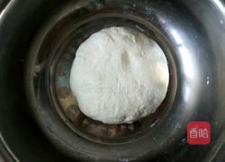 胡萝卜大包子的做法图解4