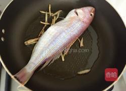 酱油水鱼的做法图解3