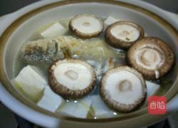 香菇豆腐鱼的做法图解8