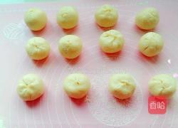 蛋黄酥的做法图解9