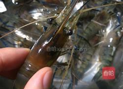 白灼罗氏虾的做法图解2