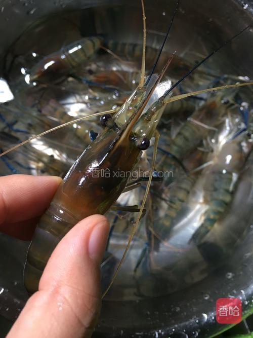剪掉虾须洗干净备用