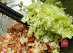 锅贴饺的做法图解4