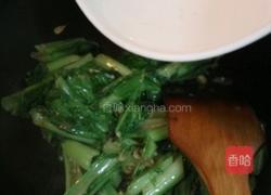 虾米枸杞芥菜的做法图解12