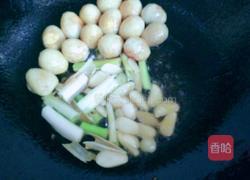 口蘑鹌鹑蛋烧肉的做法图解4