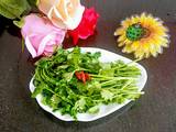 素炒香菜