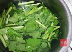 清炒青菜的做法图解2