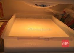 赵氏椰奶冻的做法图解6