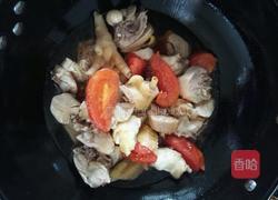 番茄鸡的做法图解6