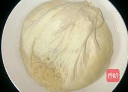 白面馒头的做法图解5