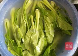炒小油菜的做法图解1