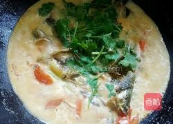 黄骨鱼番茄汤的做法图解10