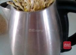 发豆芽的做法图解3