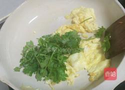 香菜炒鸡蛋的做法图解5