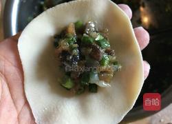 海参饺子的做法图解13