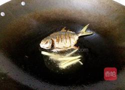 香煎金鲳鱼的做法图解5