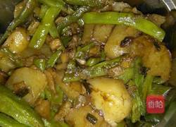 土豆炖豆角的做法图解4