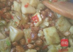 碎肉茄子的做法图解6