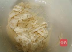 包菜虾皮饼的做法图解1