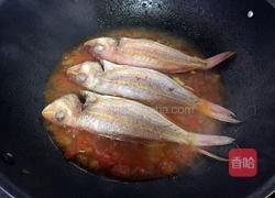 番茄红烧鱼的做法图解9