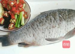 在家怎么做豆豉烤鱼 MjUwX2MyOjEvM15yYjI6MS84XzE4MA