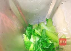青菜汁的做法图解7