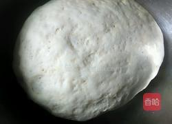 黄瓜馅饼的做法图解6
