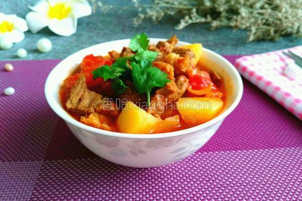 番茄酱土豆烧牛肉的做法_番茄酱土豆烧牛肉的