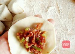 芹菜羊肉水饺的做法图解10