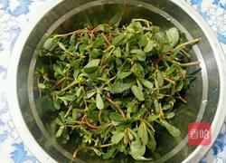 凉拌蚂蚱菜的做法图解1