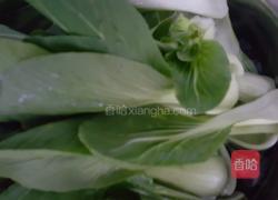 油菜香菇素包子的做法图解5
