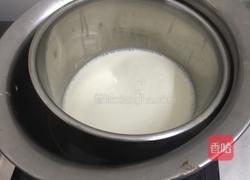 芒果冰淇淋的做法图解1