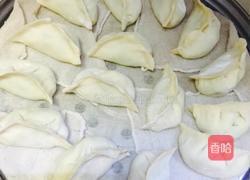 茴香蒸饺的做法图解11