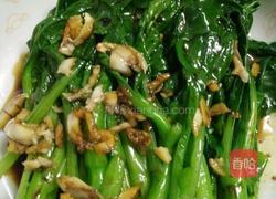白焯菜心的做法图解8