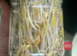 绿豆芽的做法图解8