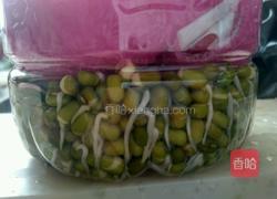 绿豆芽的做法图解4