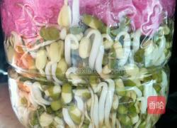 绿豆芽的做法图解6