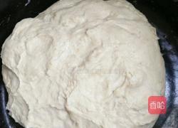 家常羊肉汤泡饼的做法图解4