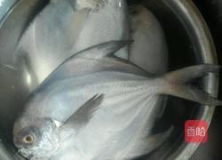 红烧晶鱼的做法图解1