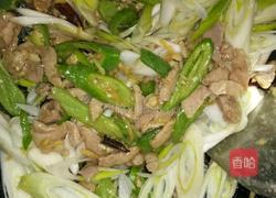 农家小炒肉的做法图解8