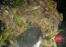 农家小炒肉的做法图解9