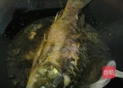 红烧鲤鱼的做法图解3