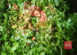 荠菜菜合的做法图解4