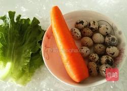 凉拌胡萝卜之小鸟归巢的做法图解1
